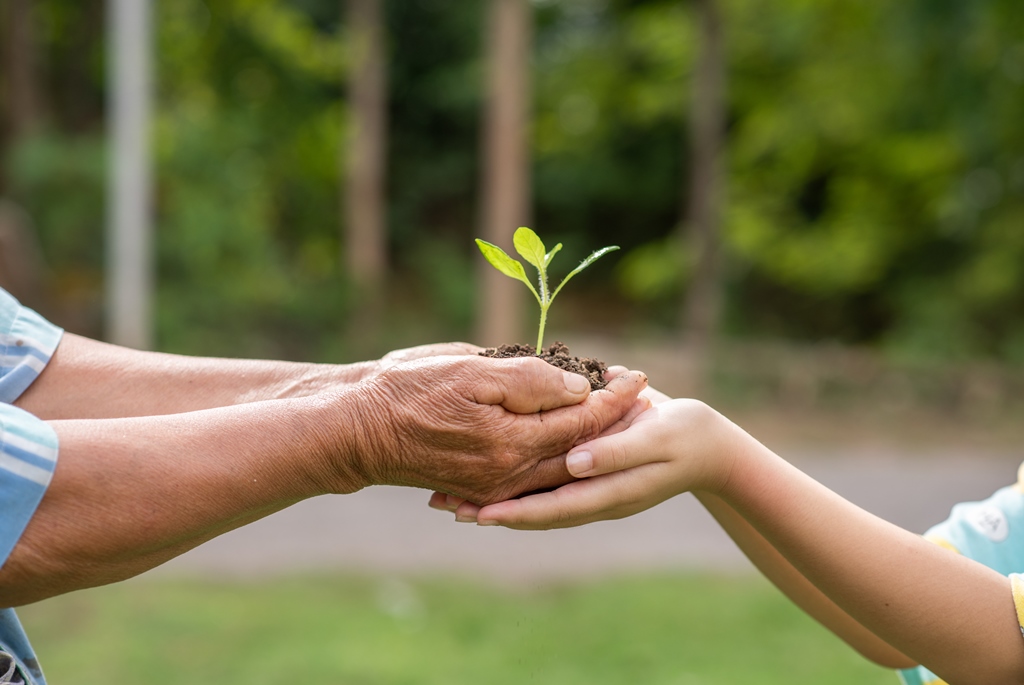 Save Tree