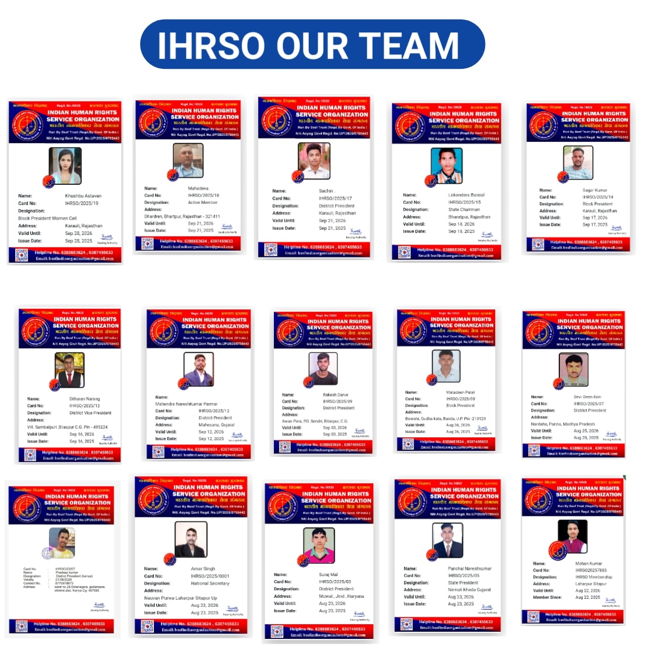 Our Team