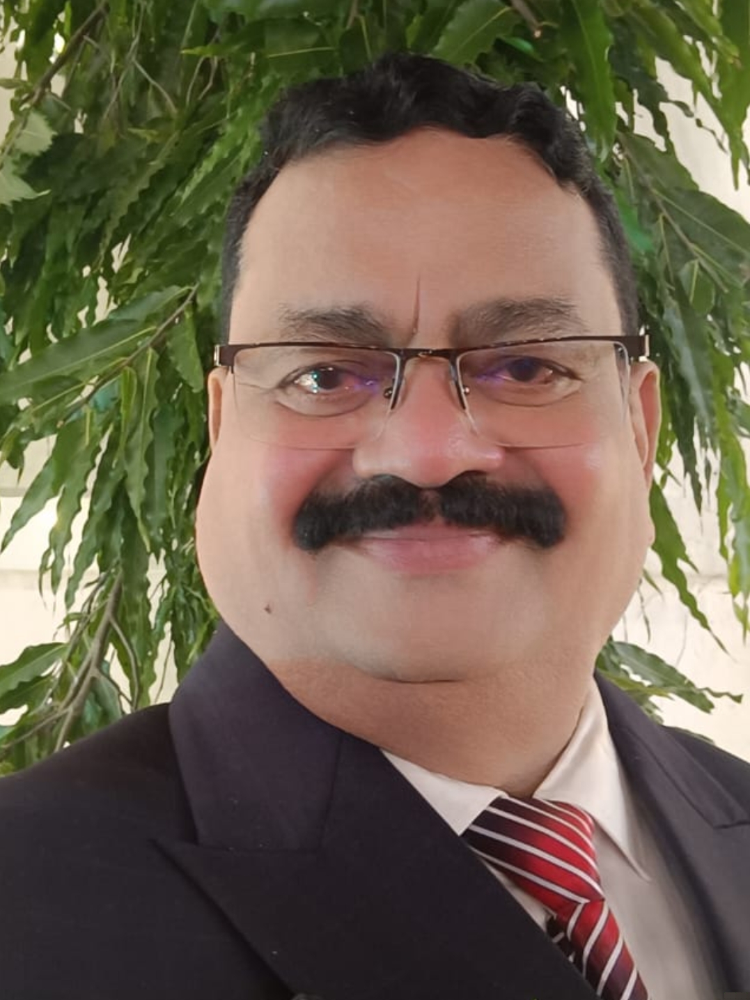 Dr Mark